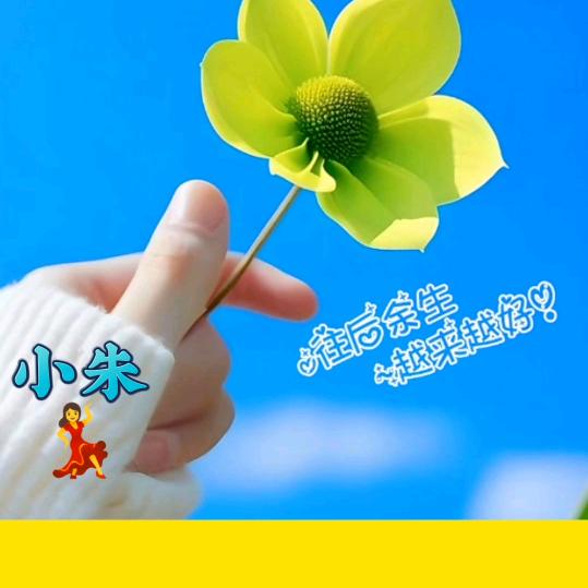 小朱💃