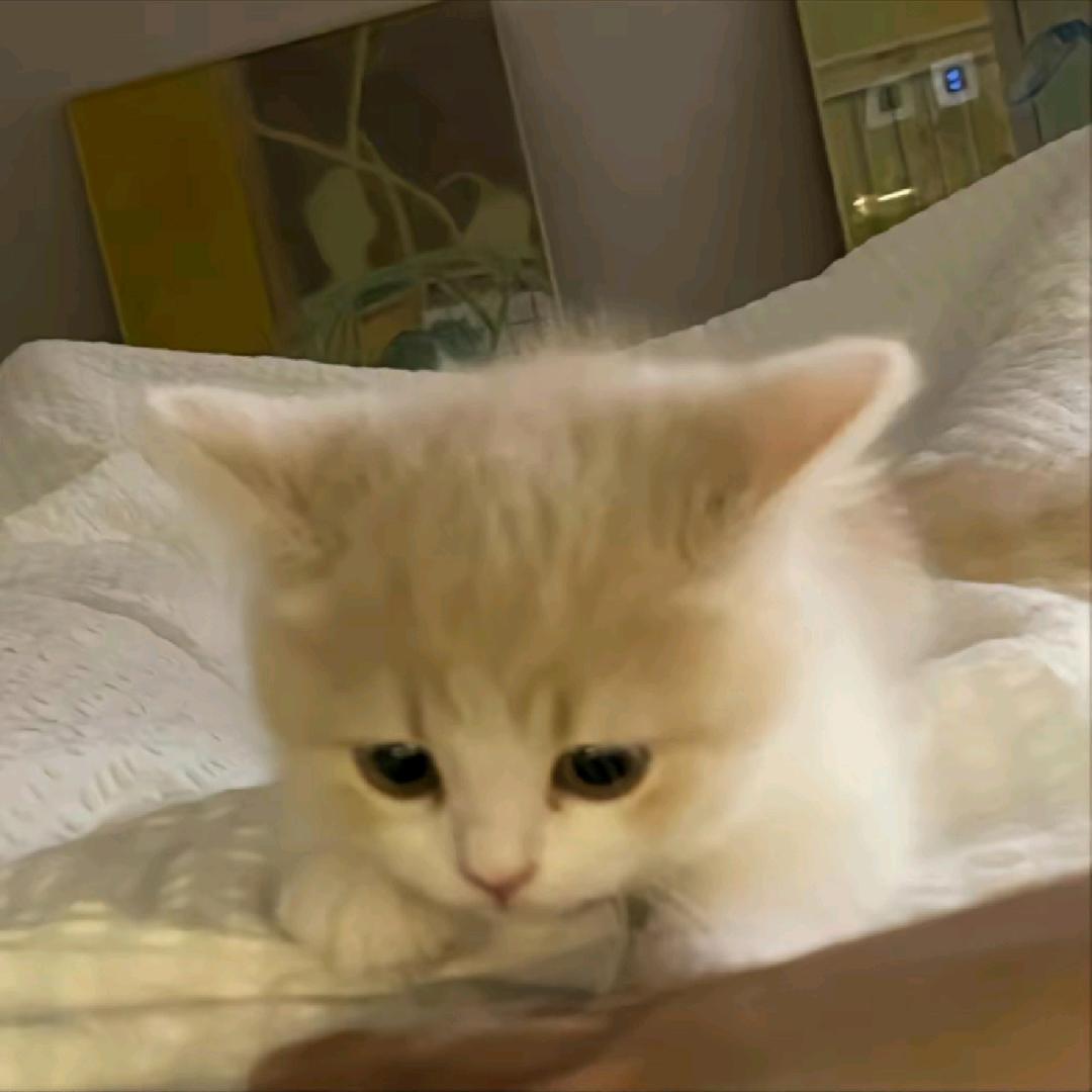 困活了