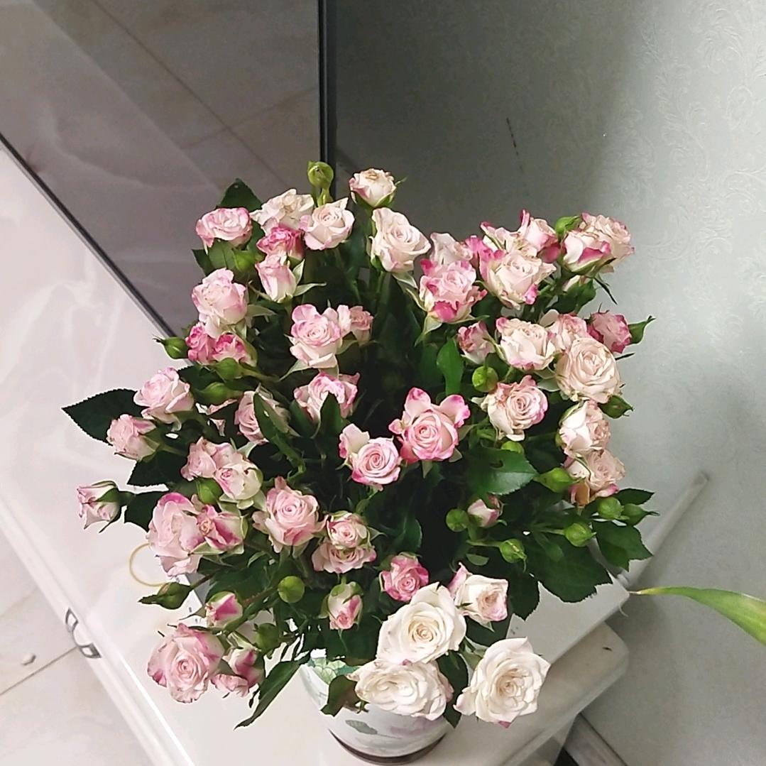 梓涵