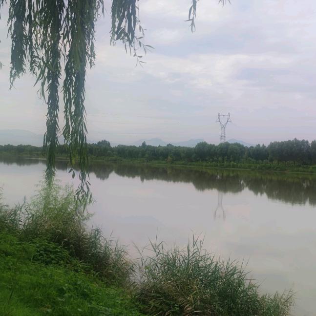 王者归来_233845945