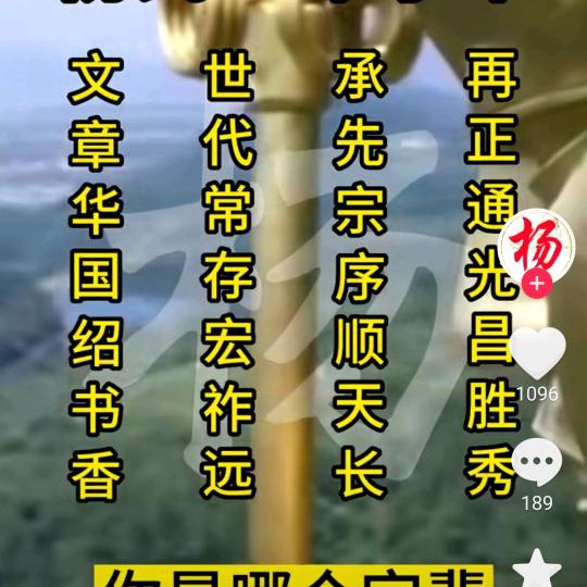 犟的人生