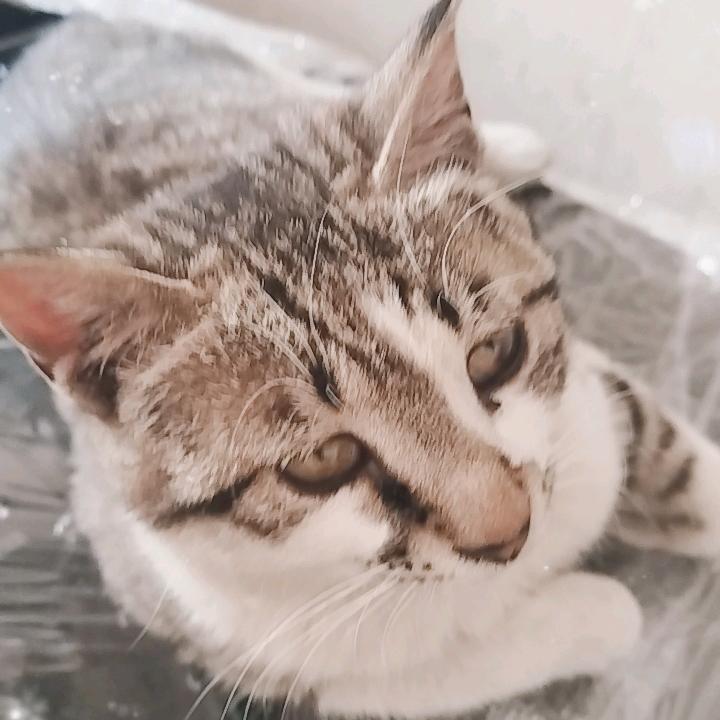 @。