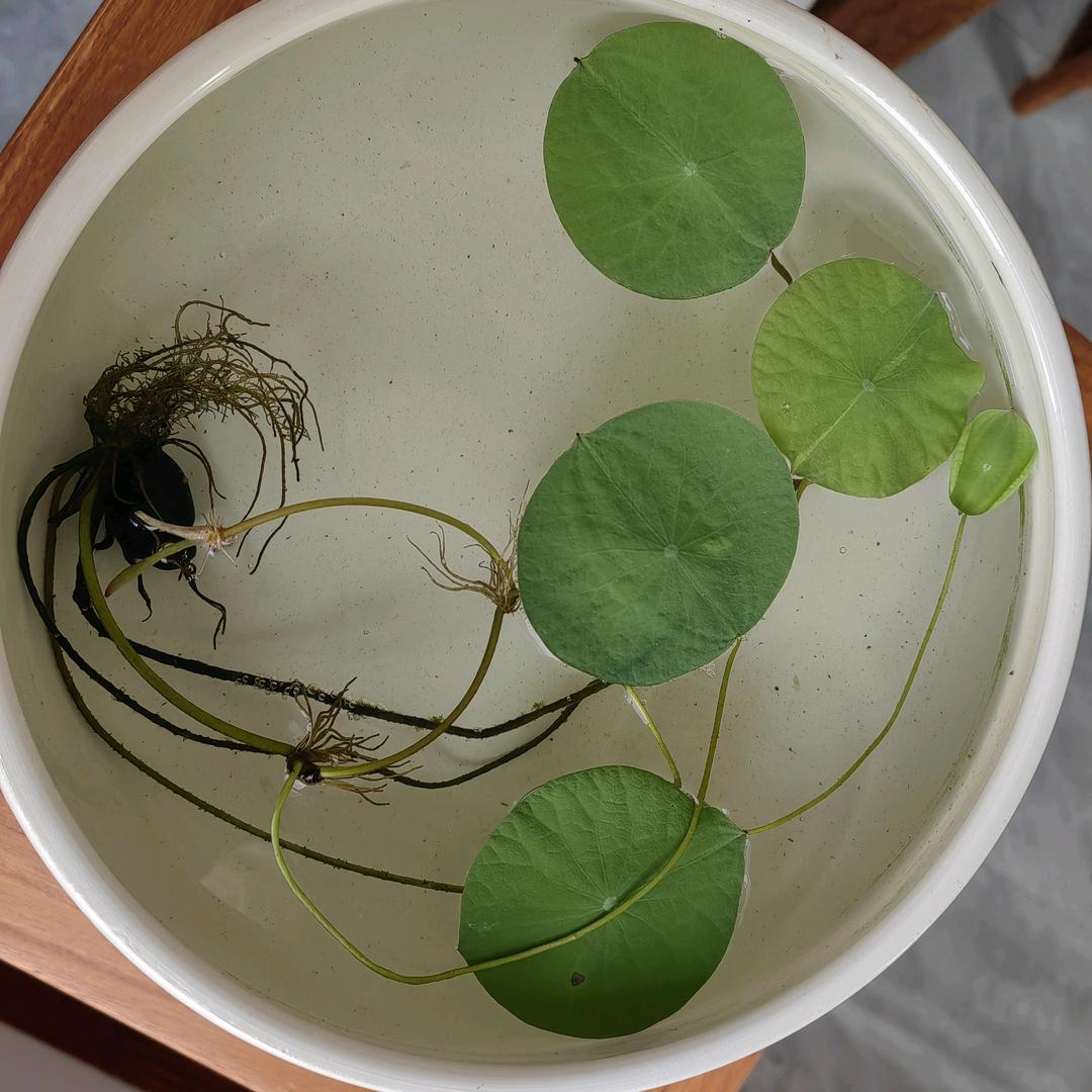 🍀就是你说..