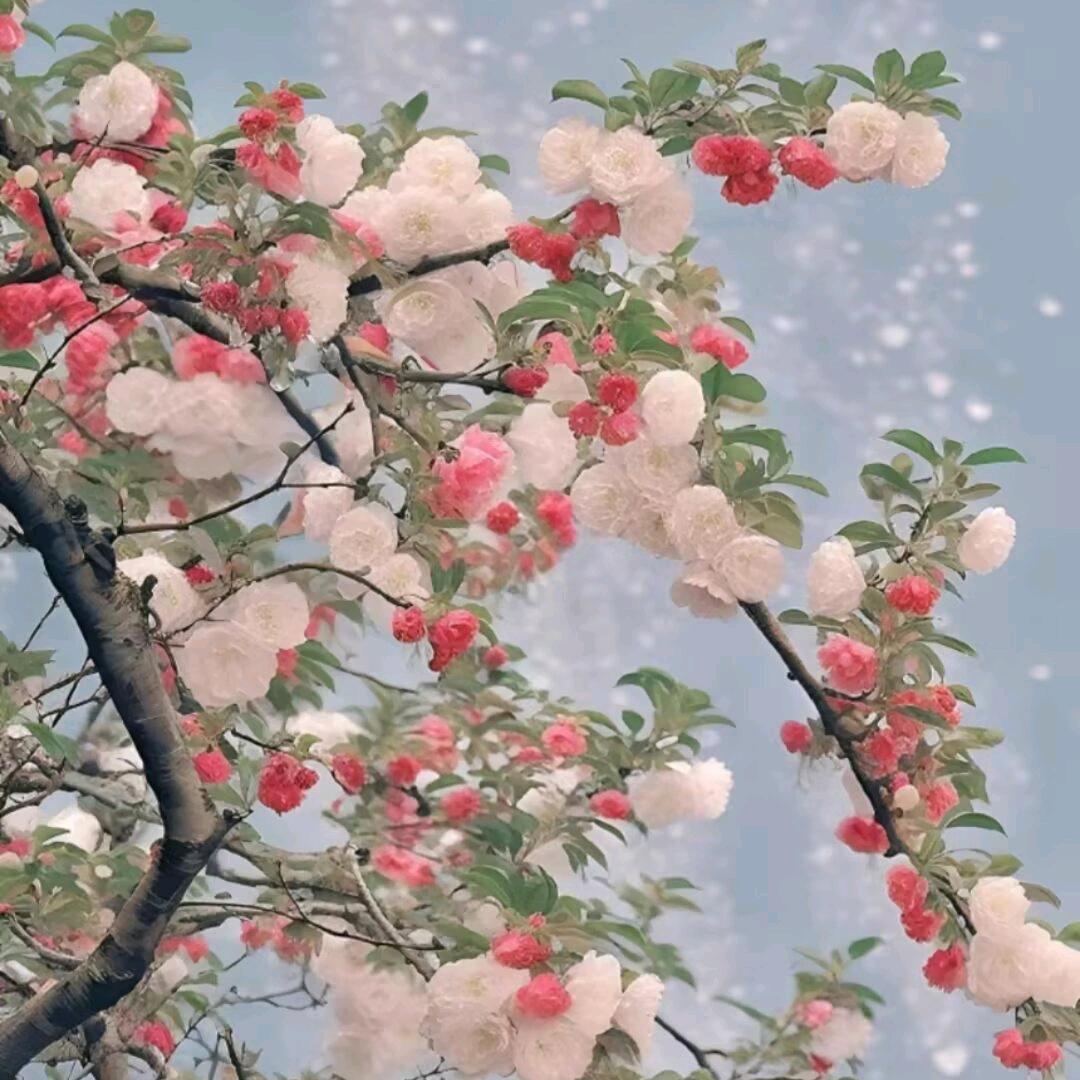 牢钱(三角洲跑刀:)
