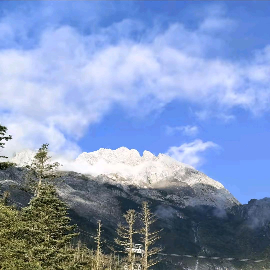 不会飞꧔ꦿ᭄ 的小鸟💫