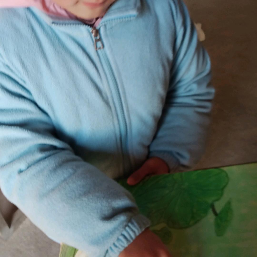 张姐2（助力号）