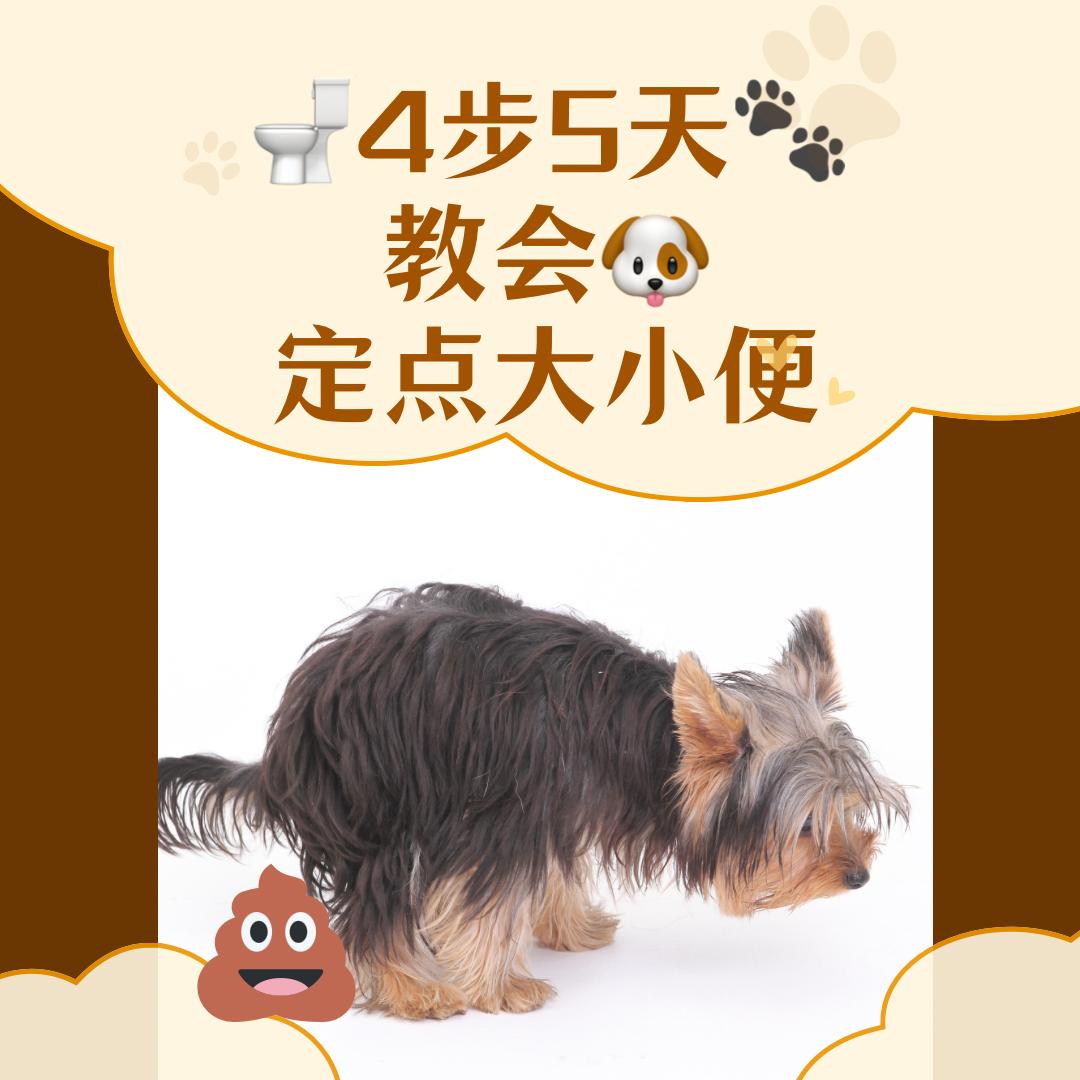 汪巴文化传媒