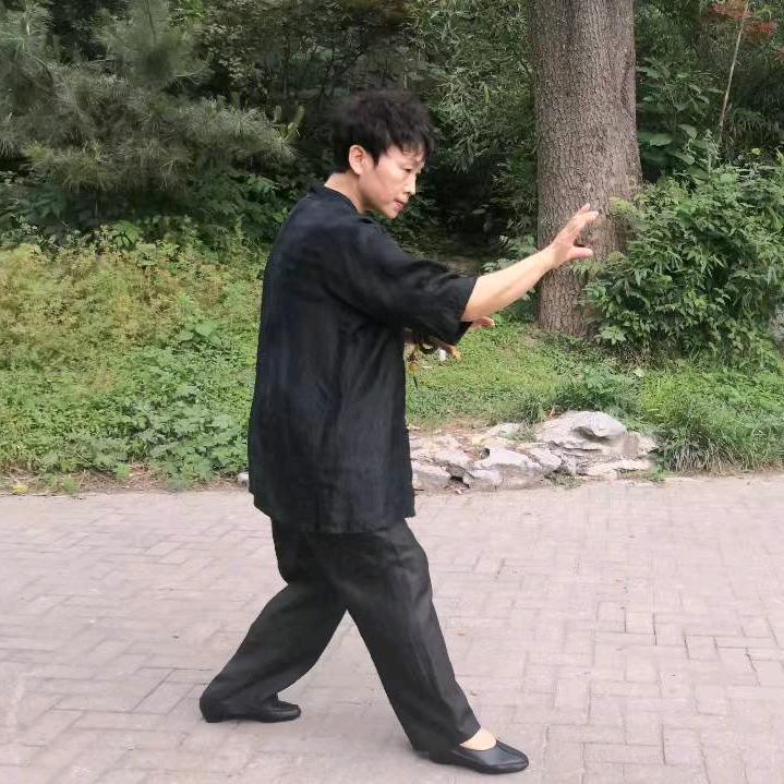 形意拳玉娇龙张玉萍（徐州）
