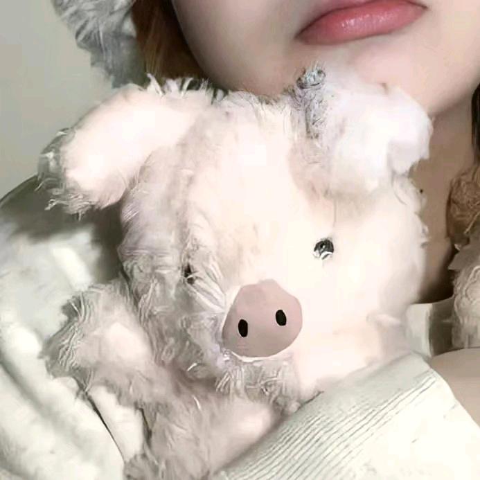 风会带走云