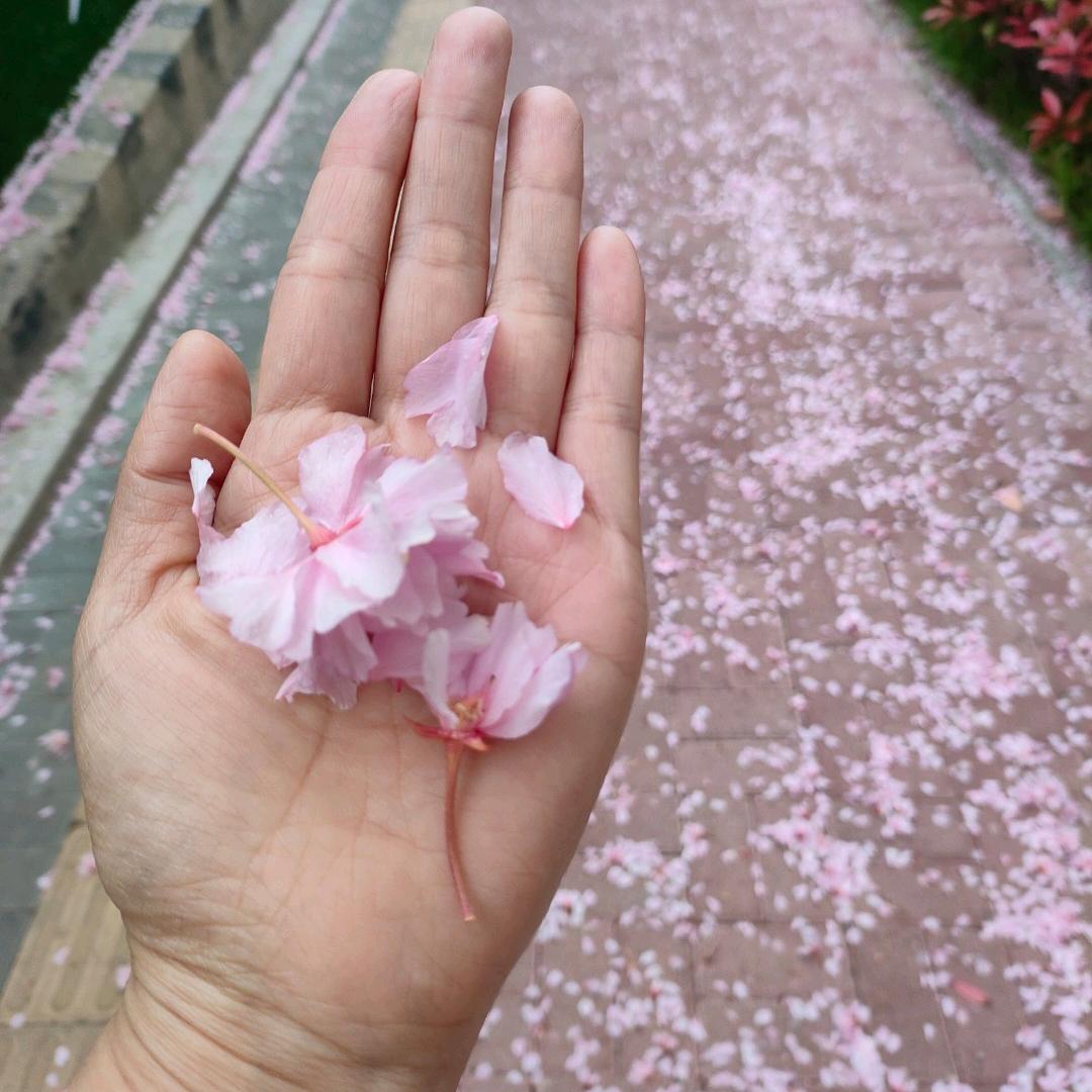 馨随意动