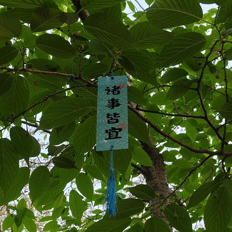 ³⁹度的风ᝰꫛꫀꪝ•⚘