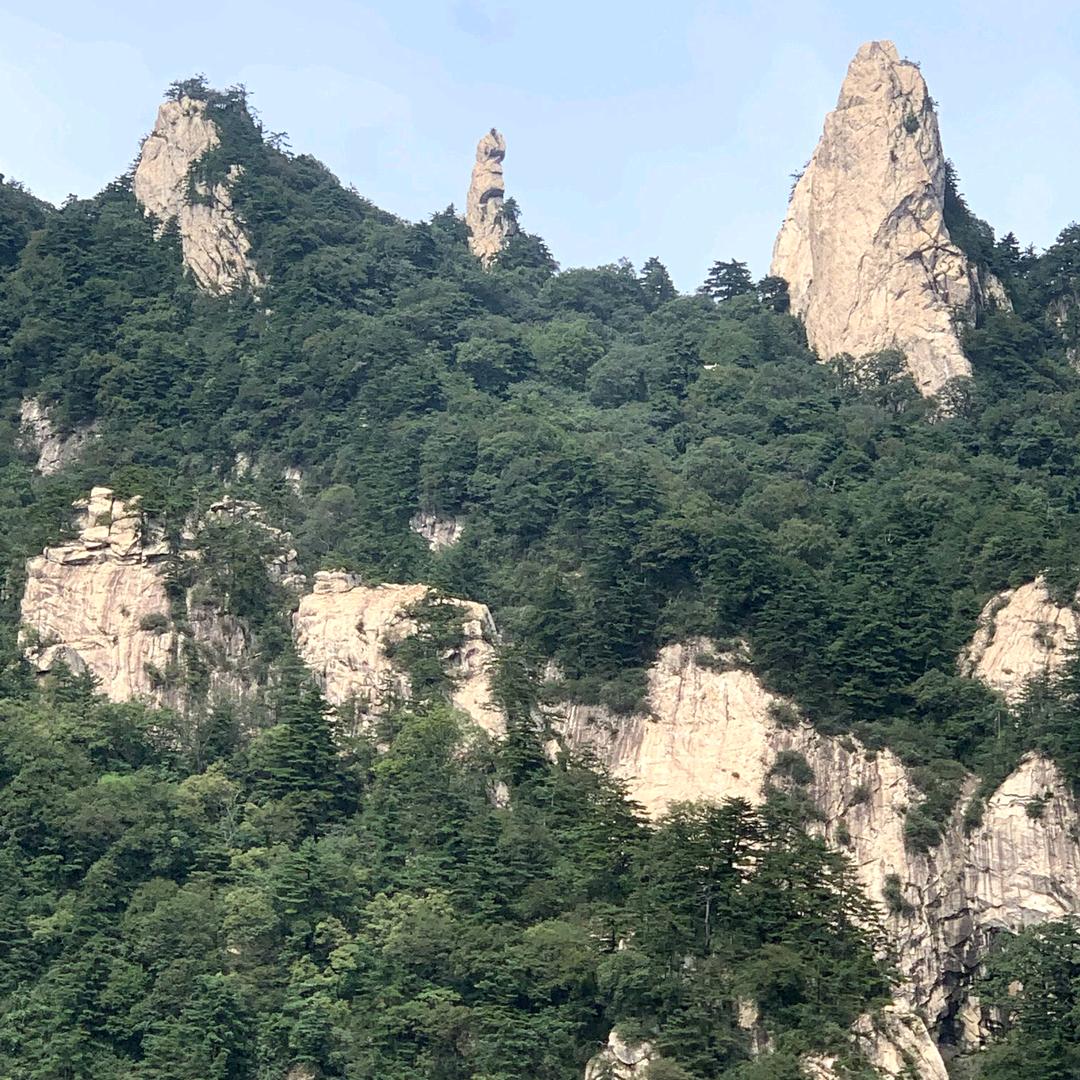 平顶山新阳光通讯