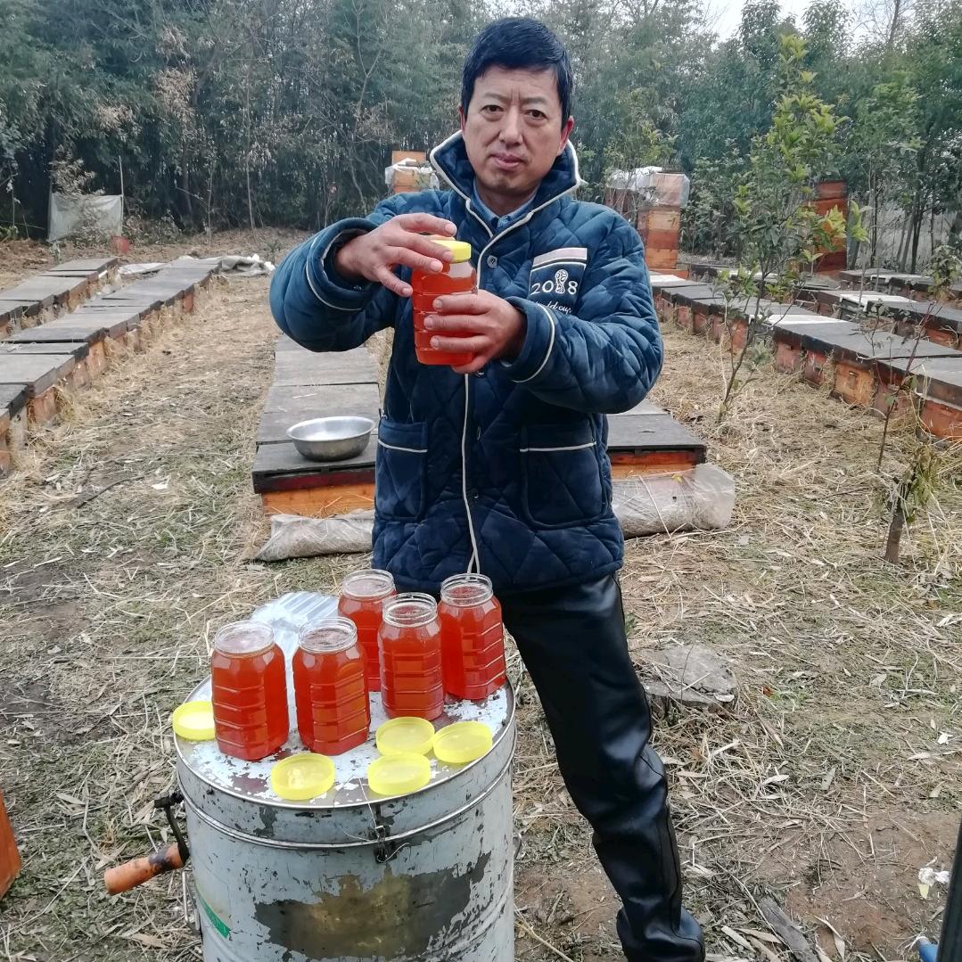 赶花蜂农程良勇