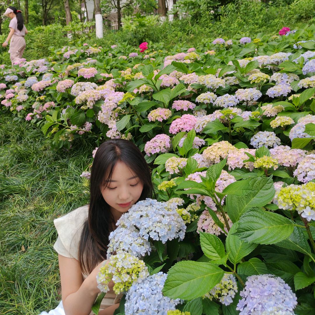 橘子🍊海