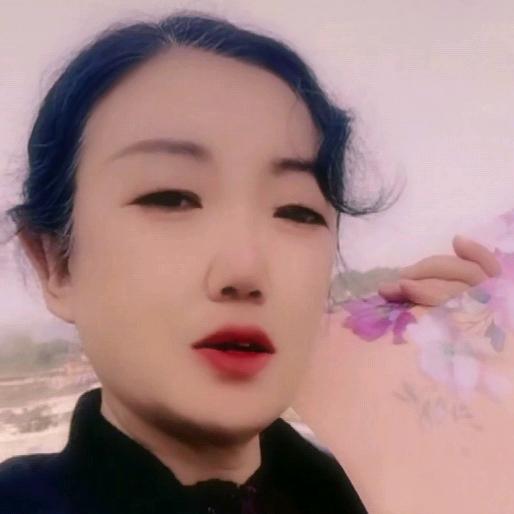 无语（64年龙姐姐）