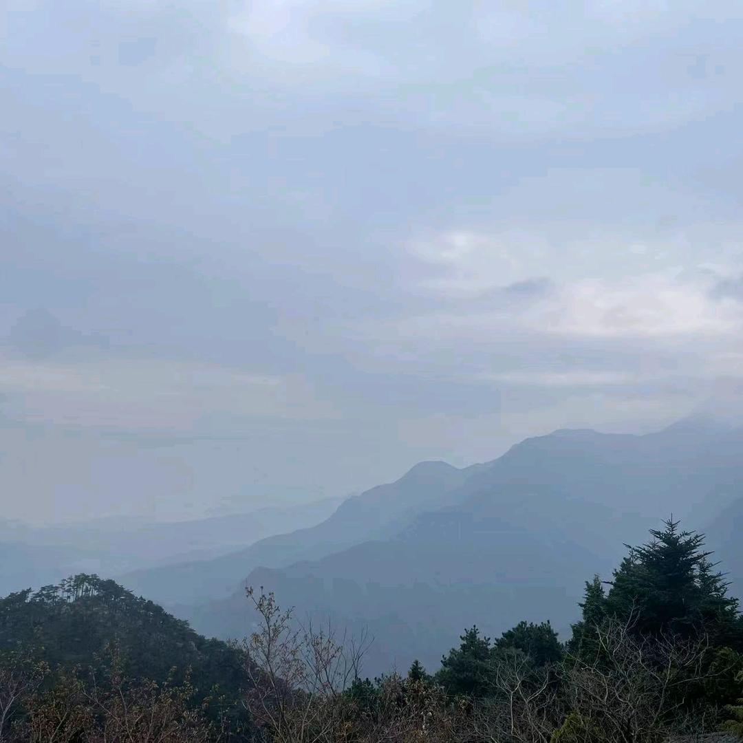 用户9527
