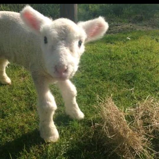 床的旁边是白色