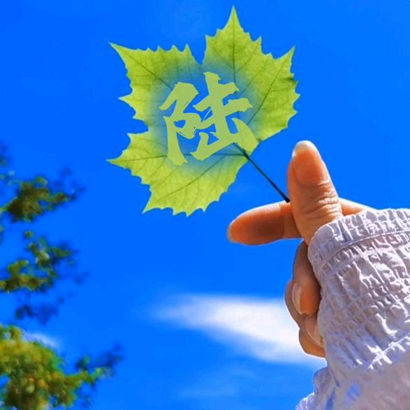 💞᭄᪲ᩚ꯭一ℒᎭℯ⃝陆有你💞࿐