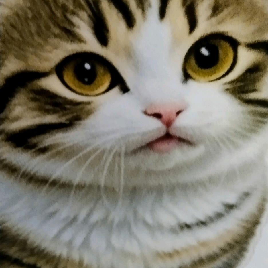 ʰᵉˡˡᵒ𝙠𝙞𝙩𝙩𝙮.