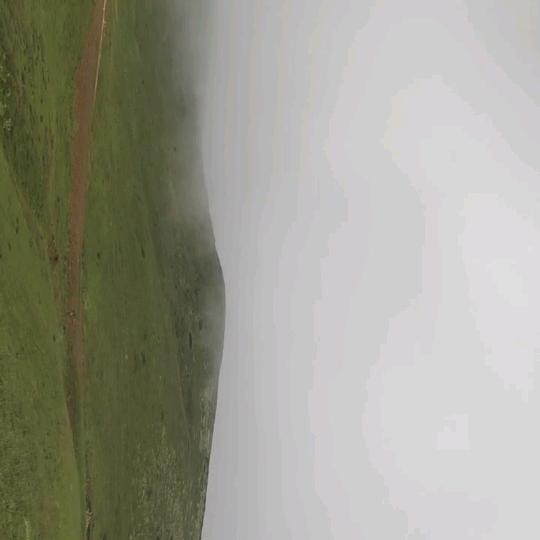 风吹雨打、凤哥依然潇洒