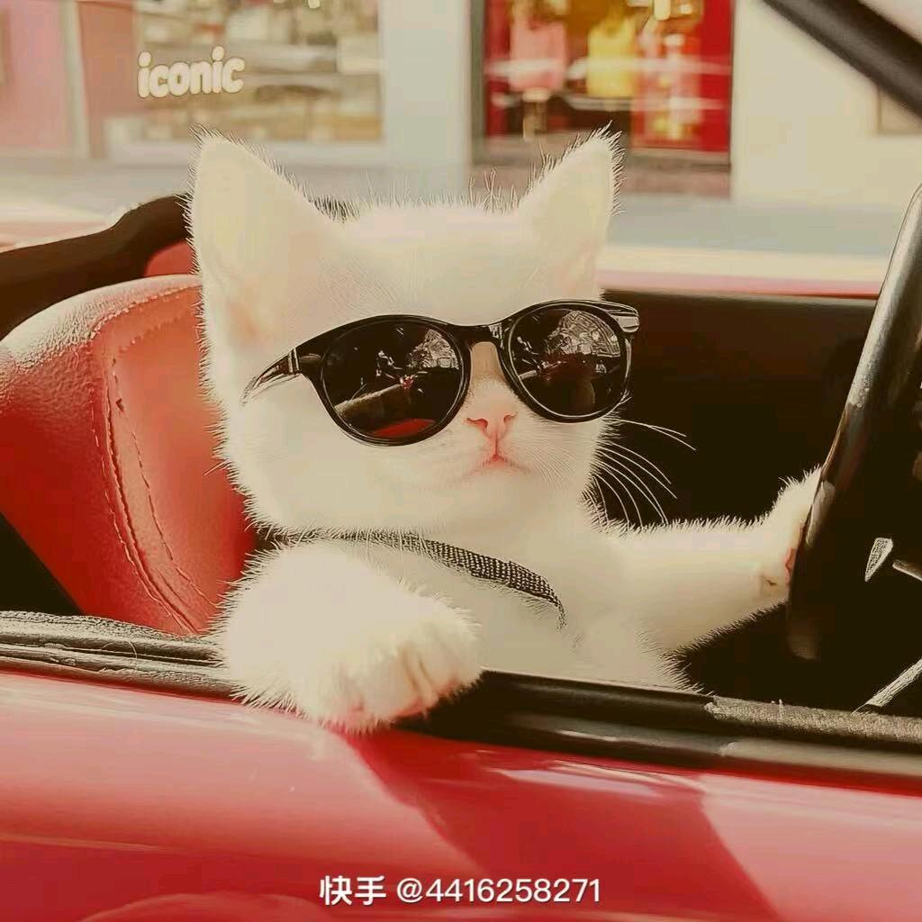 不被定义的风