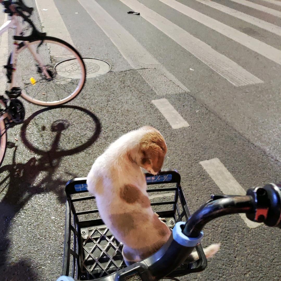 安徽人在上海（网约车）思南🚗