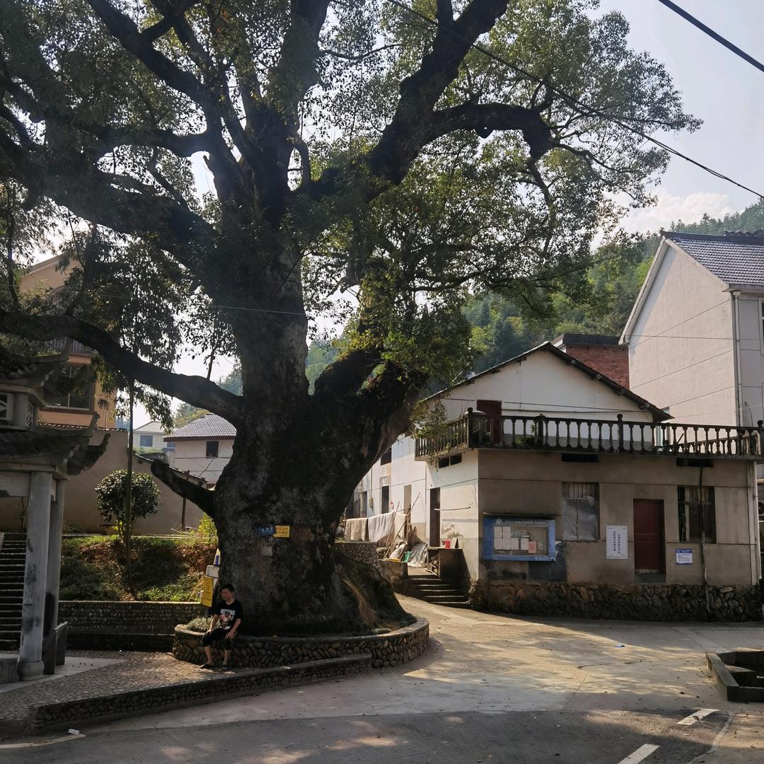 理想（户外）王者归来