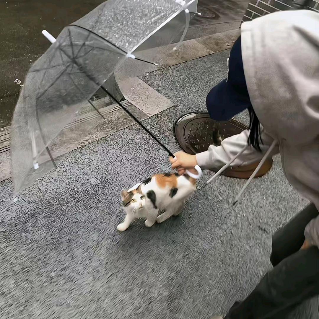 没吃晚餐