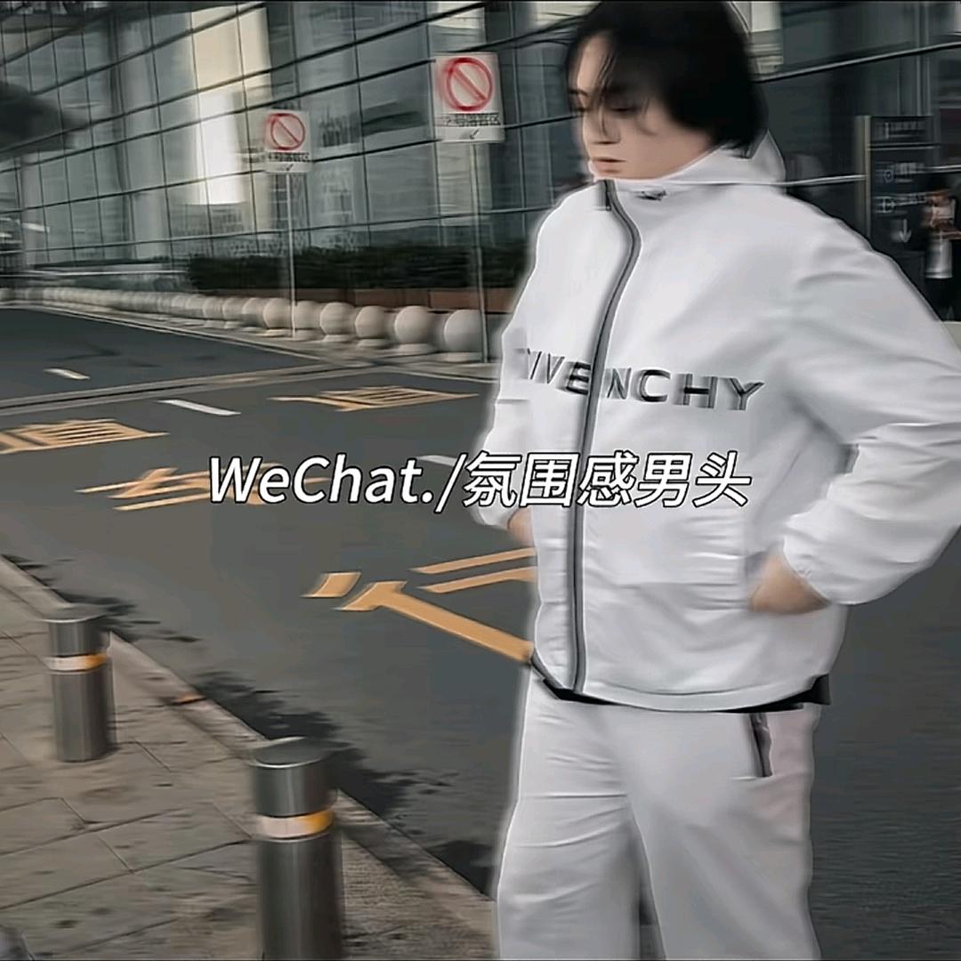 青鸢白鹭