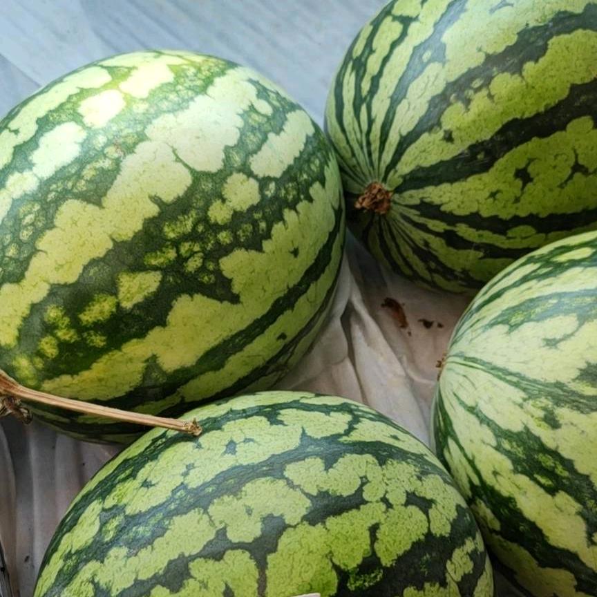 丠㠪匚An掉丝女仕~~