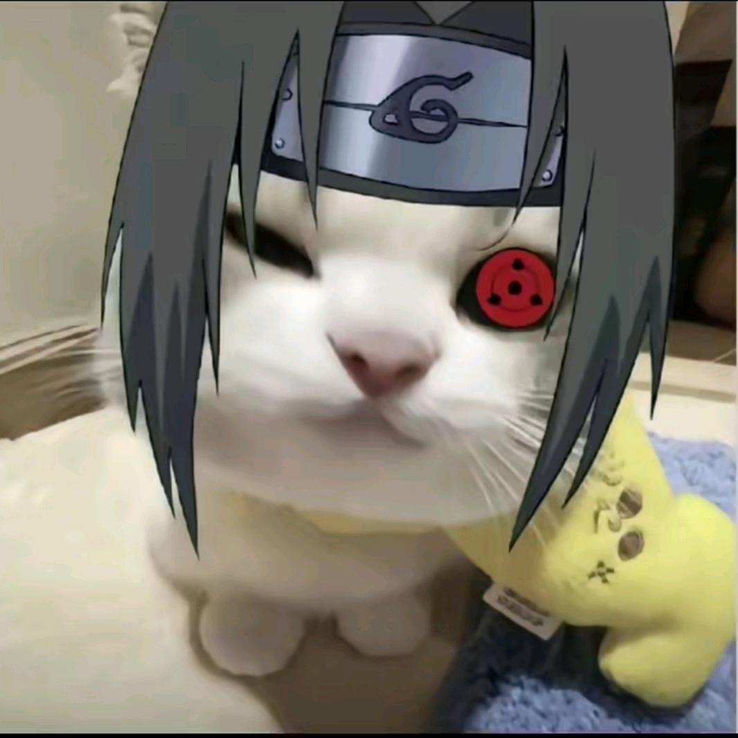 一到上课就犯困🍃