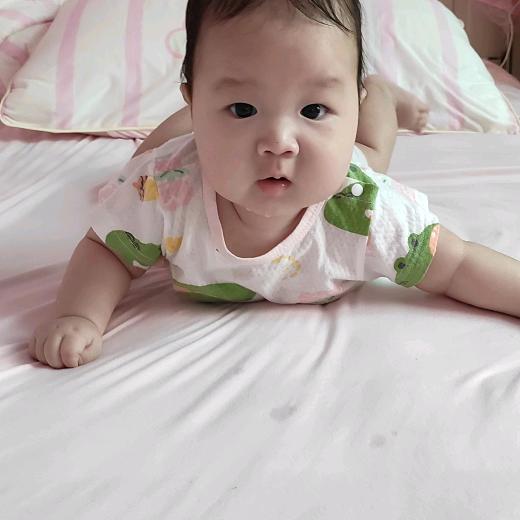 喜梅子