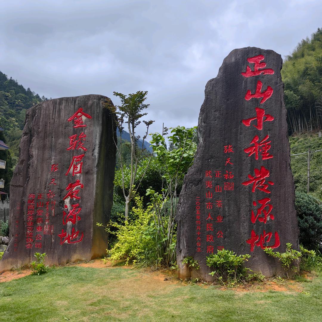 张同学-汉中正山堂-闽君茶业（前进路店）