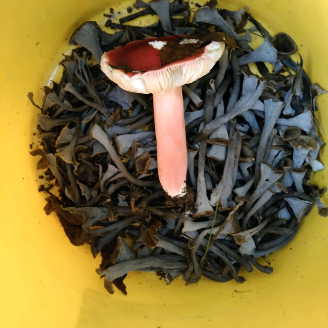 爱相守，愿不弃