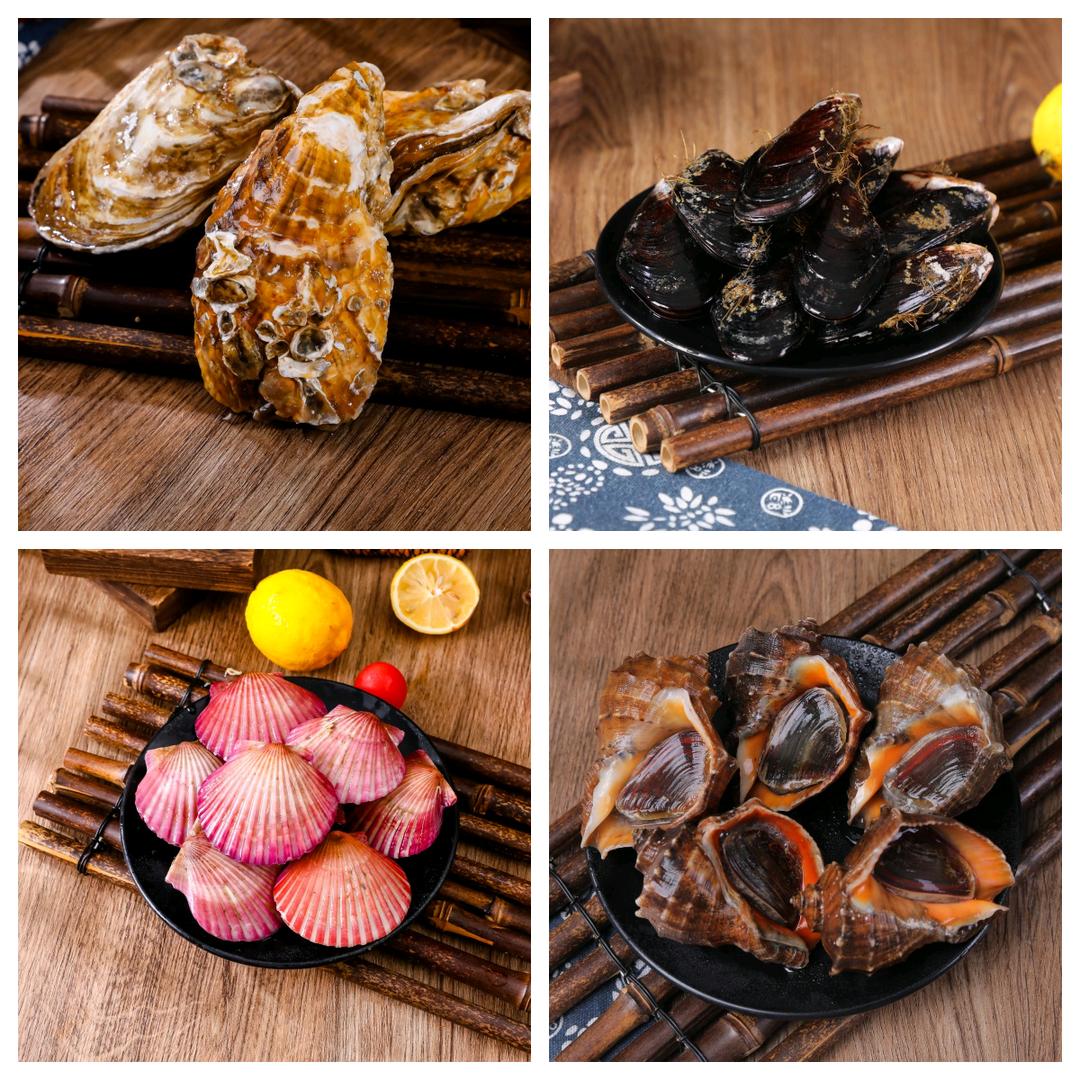 鱼之味贝类海鲜