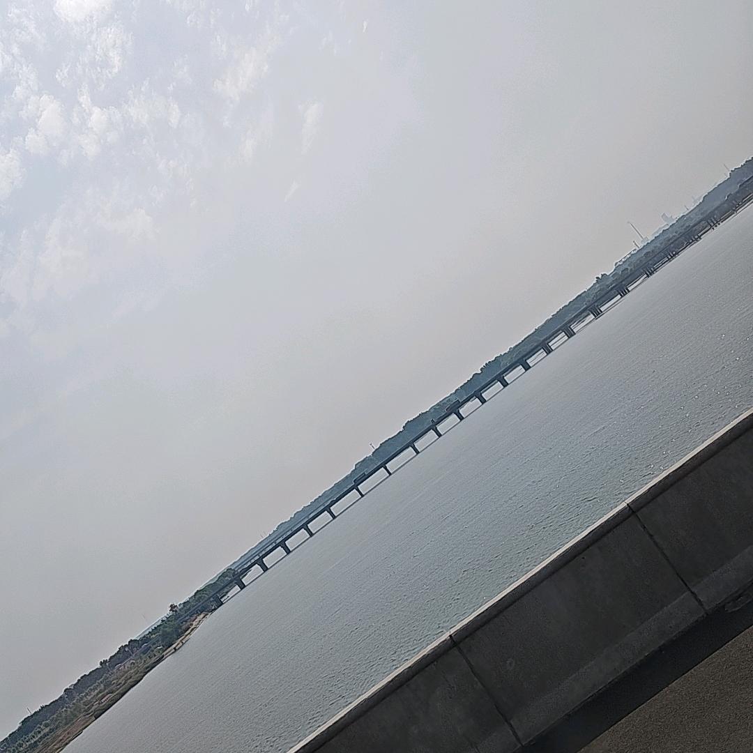 百万养殖场