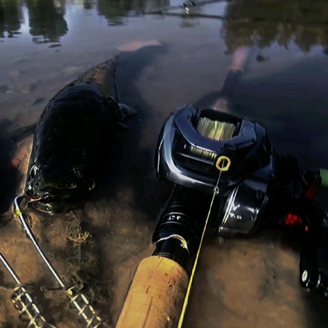 不会路亚的任🎣