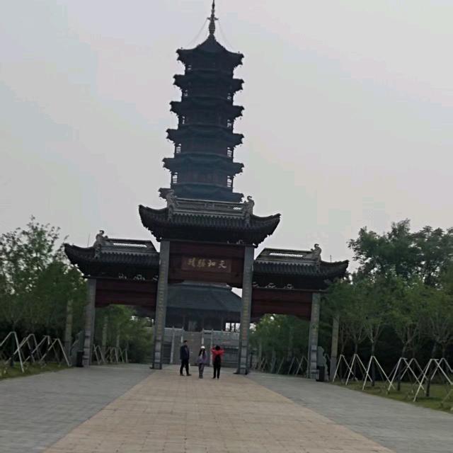 朝阳哥