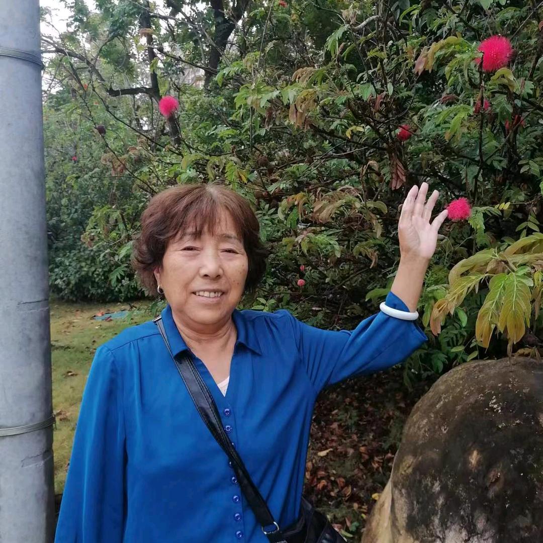 李兰兰