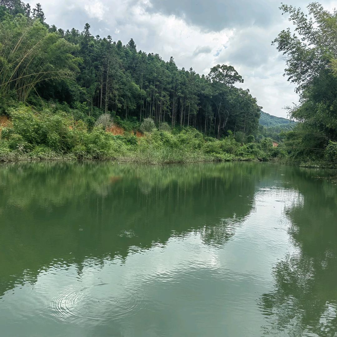 惠州市归心生态农场