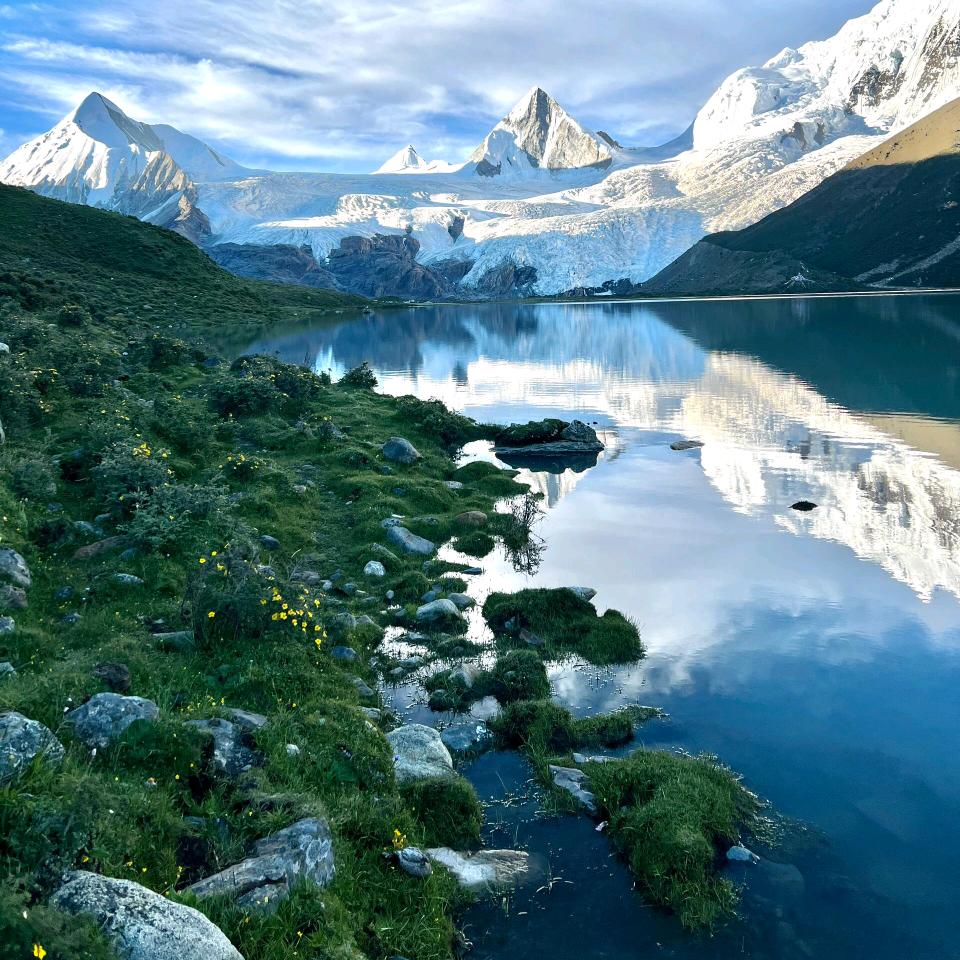 洋芋丝炒包谷饭在加点折耳根配酸菜和豌豆尖