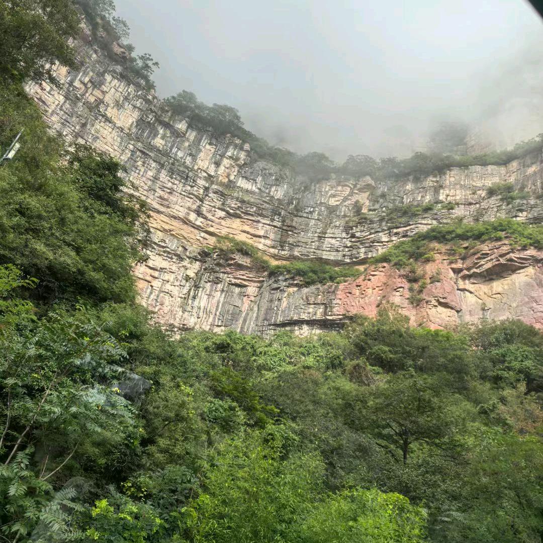 严格选品，好物分享。