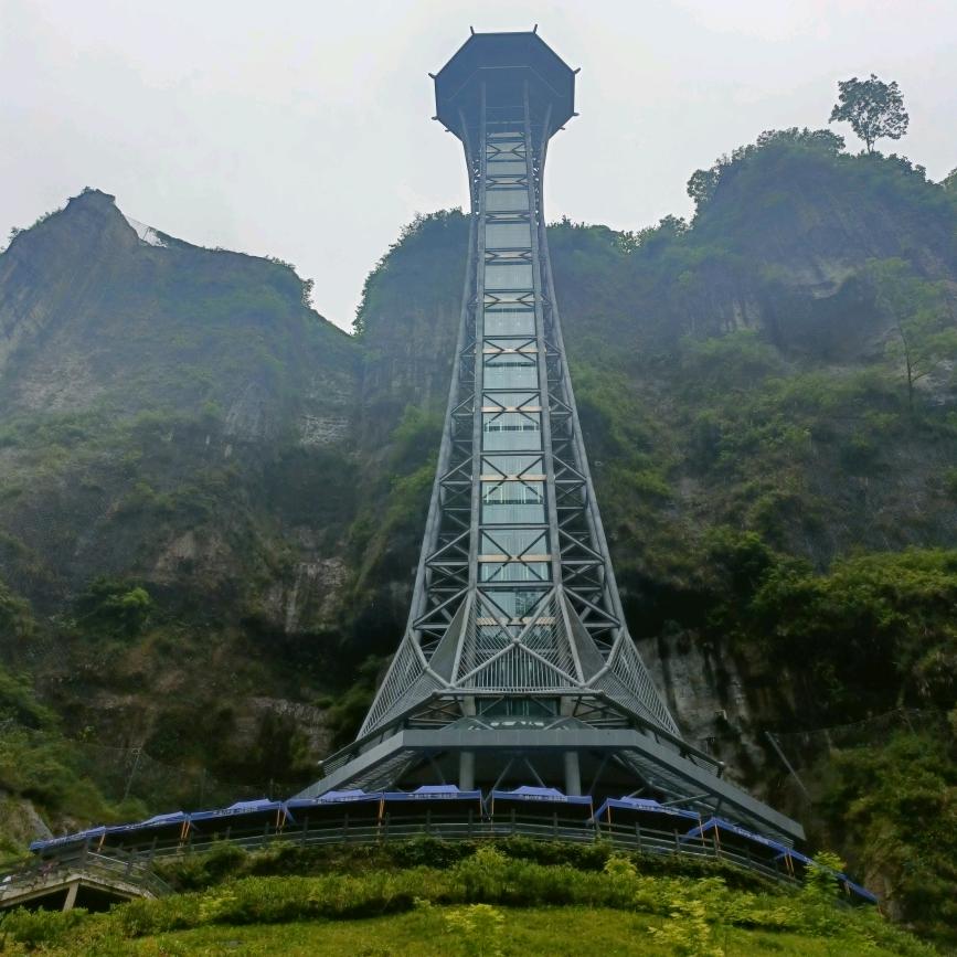 挚爱泽宝