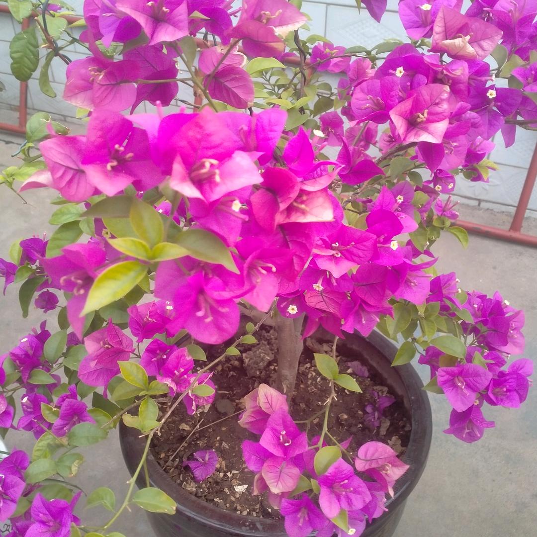 幸福快乐美一天