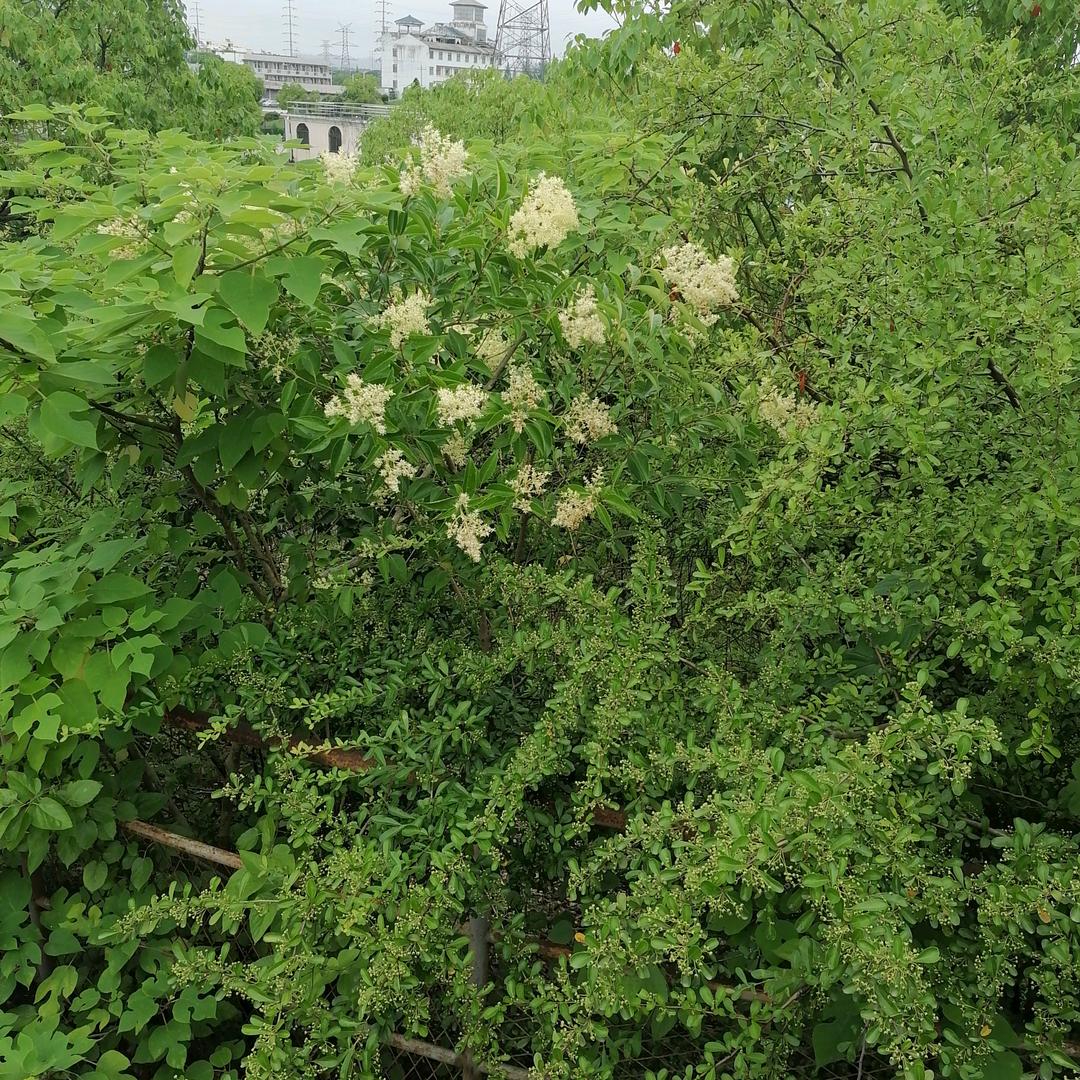 简单就幸福