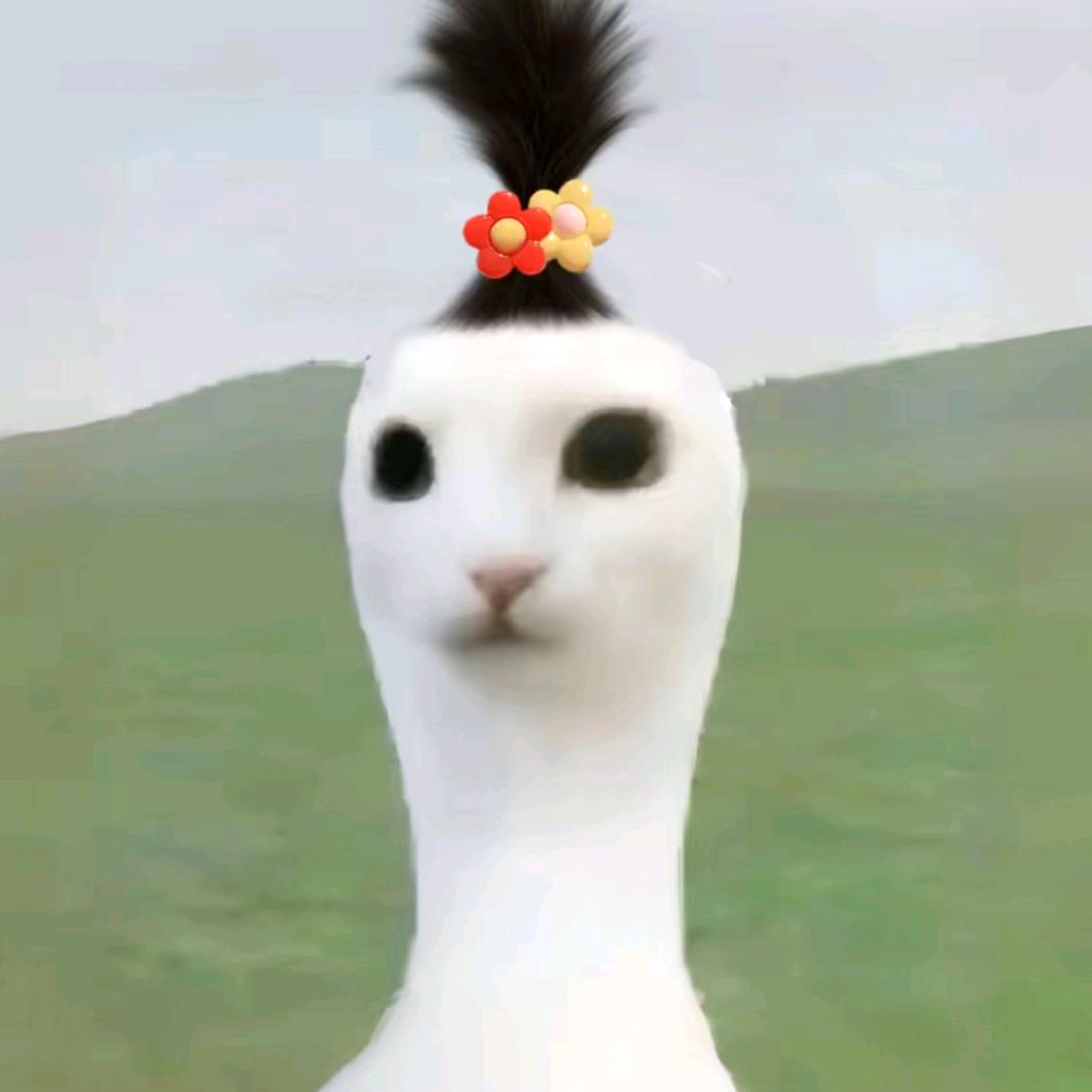 是H