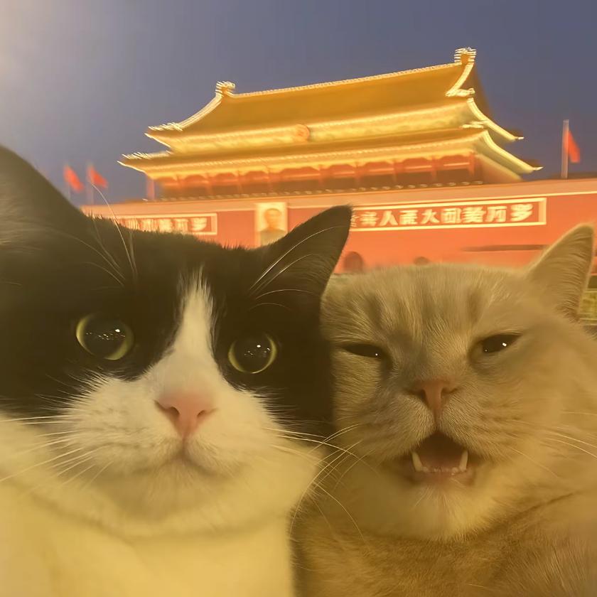 哈鸡咪短剧