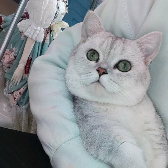 Jun.