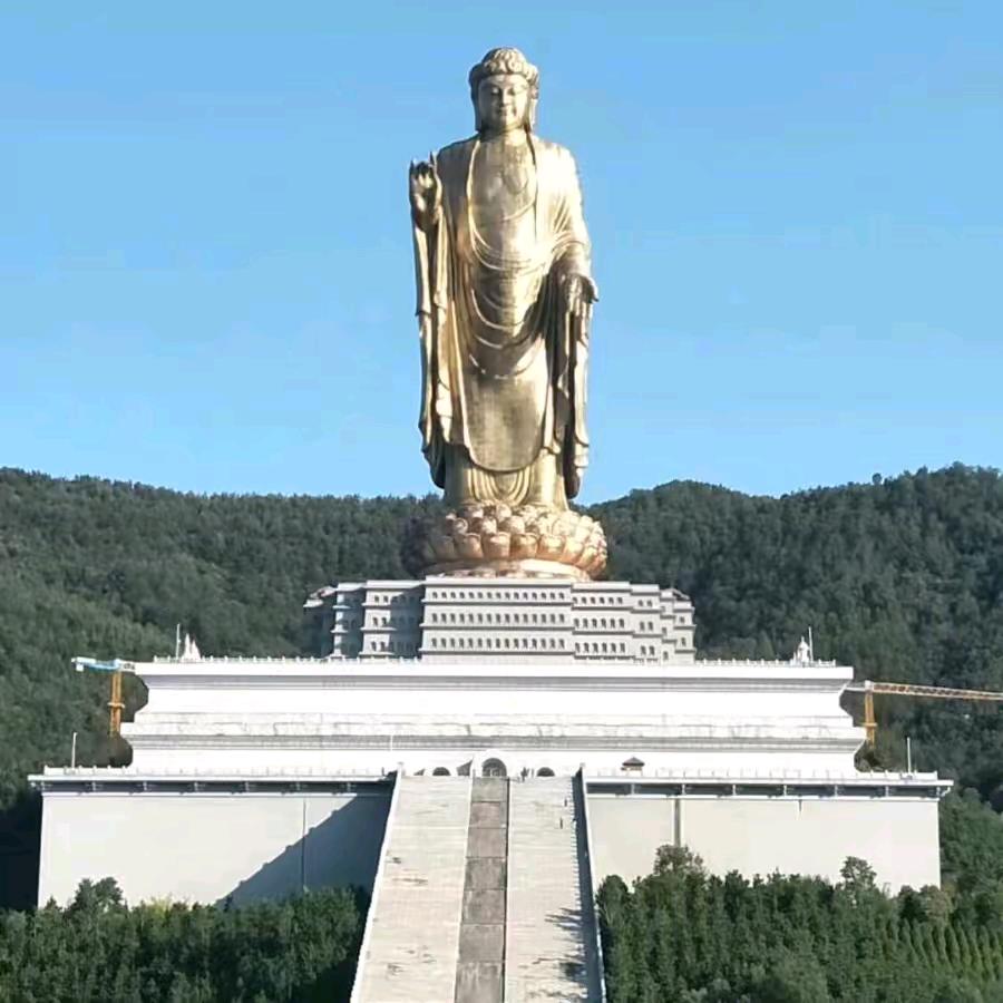 🔆青松