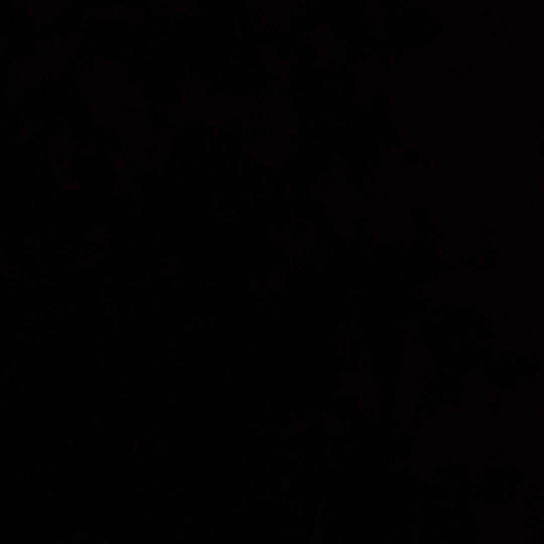 隔壁老王